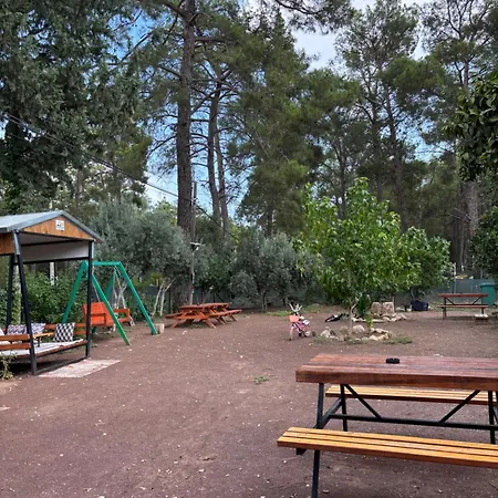 Olympos Yoeruek Otagi Evleri