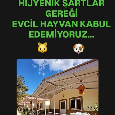 Apart-hotel Olympos Yoeruek Otagi Evleri *