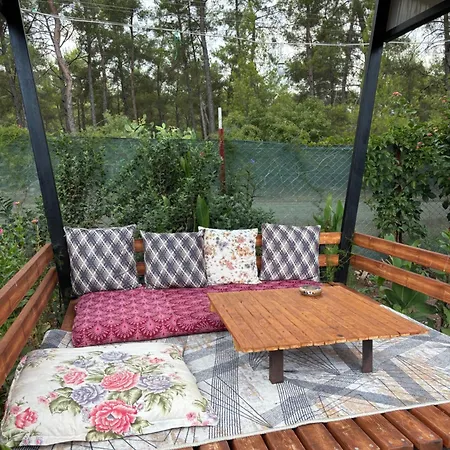 Olympos Yoeruek Otagi Evleri